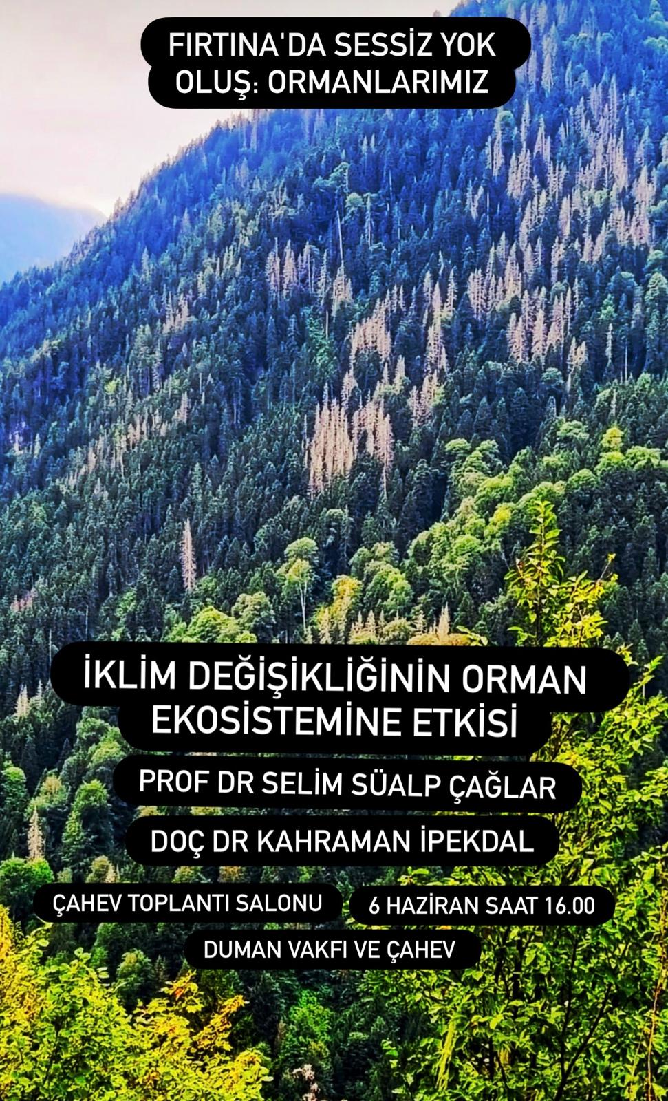 FIRTINADA SESSİZ YOK OLUŞ: ORMANLARIMIZ